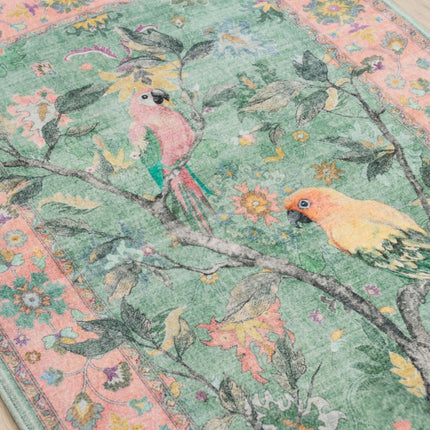 Botanical Birds 5x7 Washable Living Room Rug, Boho Green Bedroom