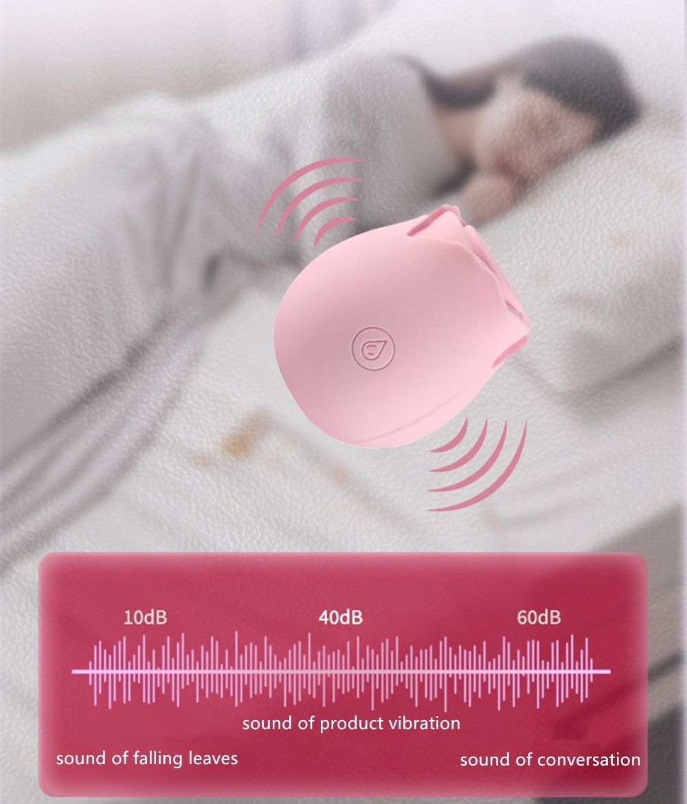Discreet 10 Speed Personal Massage Rose Vibrator sucking Massager for