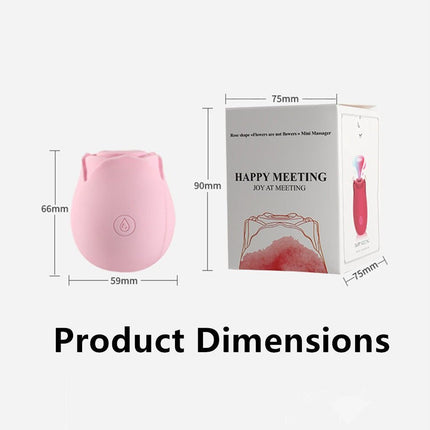 Discreet 10 Speed Personal Massage Rose Vibrator sucking Massager for
