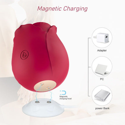Discreet 10 Speed Personal Massage Rose Vibrator sucking Massager for