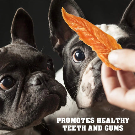 Chicken Jerky Dog Treats 1.5 Lb Human Grade Pet Snacks Grain Free