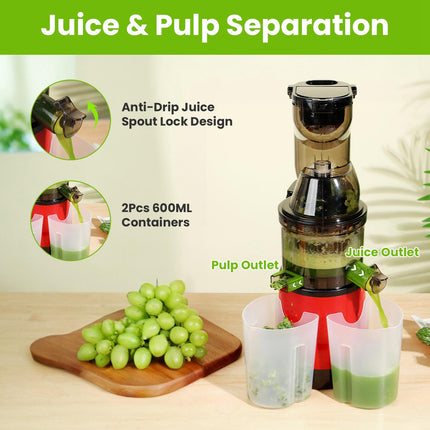 1Pc Cold Press Juicer Machine 300W Electric Slow Masticating Juicer