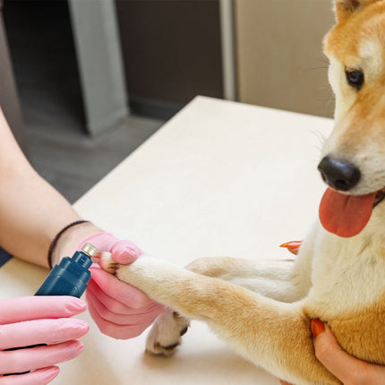 1Pc Dog Nail Grinder 2 Speeds Quiet USB Rechargeable Pet Nail Grinder