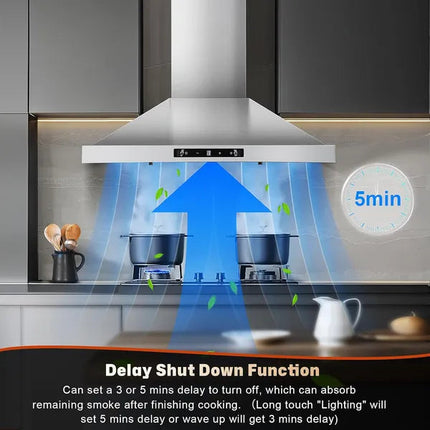 24 Inch Range Hood, Ducted/Ductless Range Hood 450CFM, Wall Mount