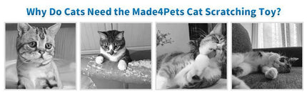 Indoor Cat Soft Scratching Board And Interactive Ball Track Toy Cat