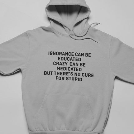 No Cure For Stupid Hoodie