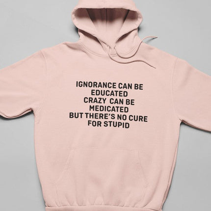No Cure For Stupid Hoodie