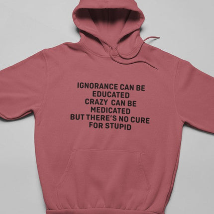 No Cure For Stupid Hoodie