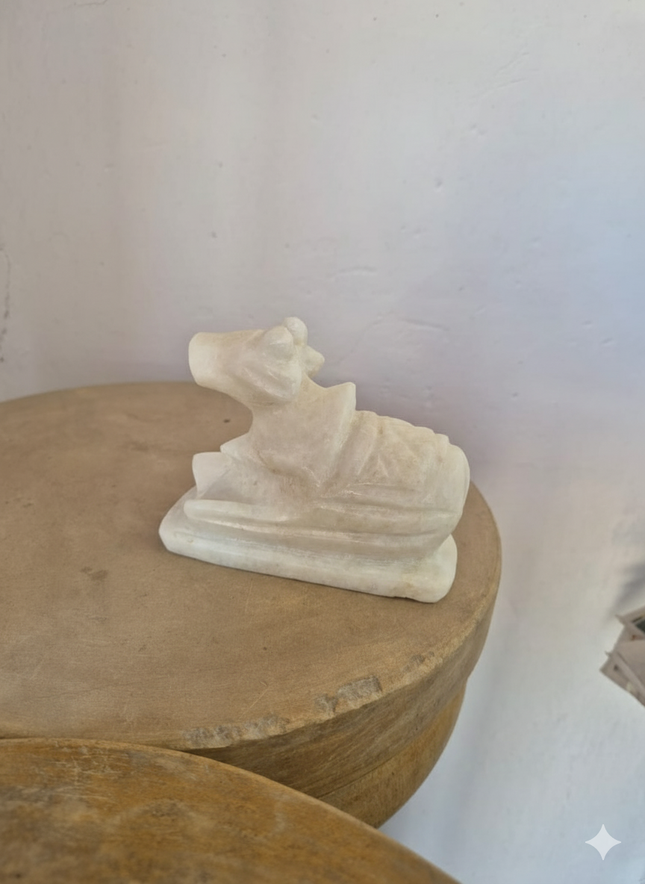 White Ceramic Bowl – Scalloped Floral Edge, Decorative