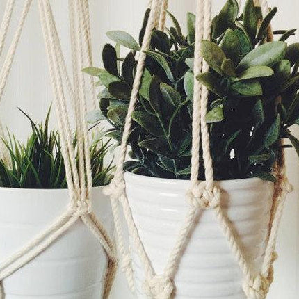 Macrame Plant Hanger