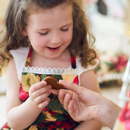 Kids Apron| Red Christmas flowers