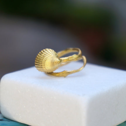 Solid Gold Shell Ring – Adjustable Real Sea Shell & Twig Design Gold