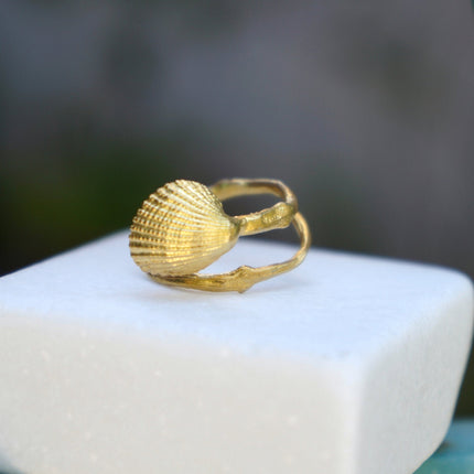 Solid Gold Shell Ring – Adjustable Real Sea Shell & Twig Design Gold