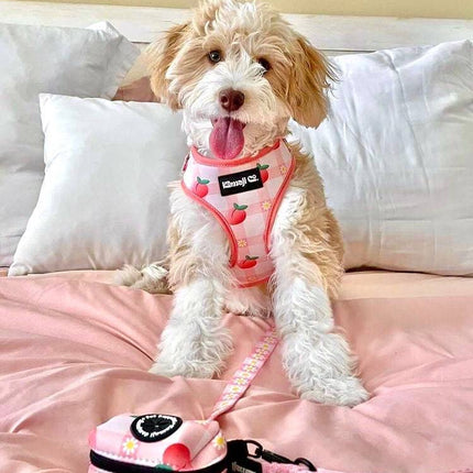 Precious Peach Collection-Adjustable Harness