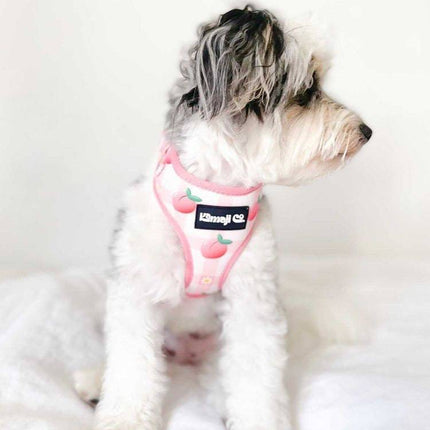 Precious Peach Collection-Adjustable Harness