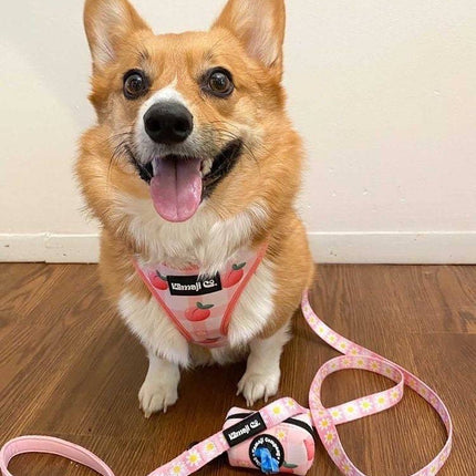 Precious Peach Collection-Adjustable Harness