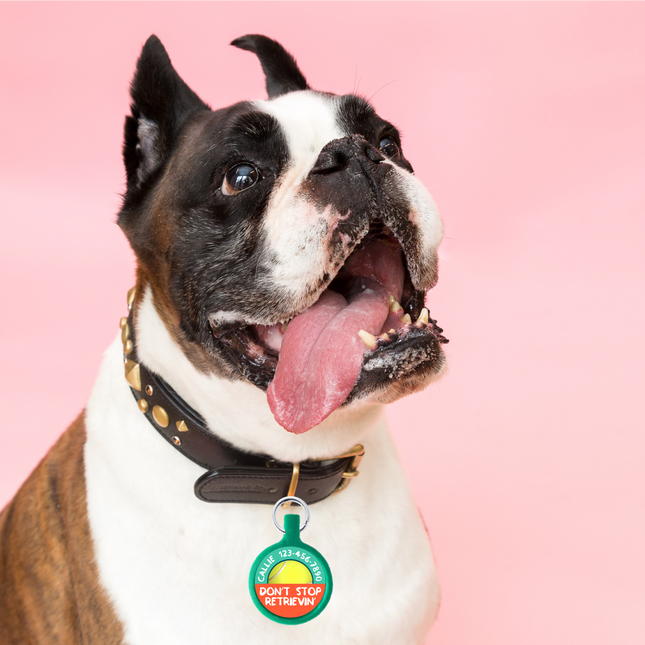 Don’t Stop Retrievin’ Ecoplastic Pet ID Tag- Choose from many colors.