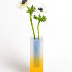 Blue & Yellow