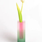 Pink & Green