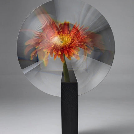 Phantom Vase - Creative Modern Decorative Vase