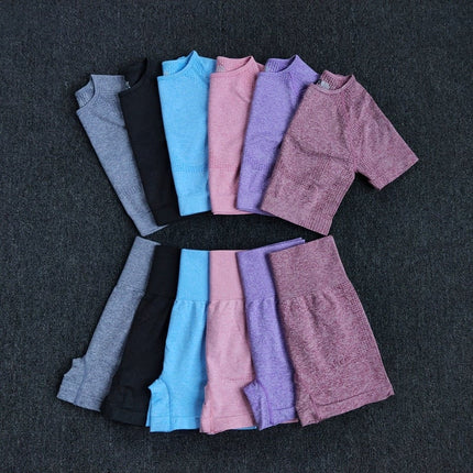Seamless Women Yoga Set Crop Top Short Sleeve Shirt Fitness Shorts