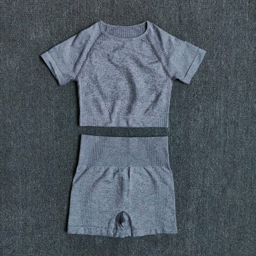 Seamless Women Yoga Set Crop Top Short Sleeve Shirt Fitness Shorts