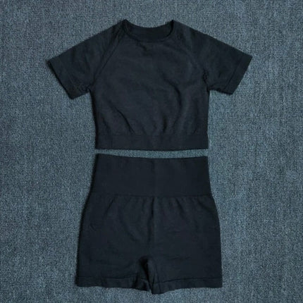 Seamless Women Yoga Set Crop Top Short Sleeve Shirt Fitness Shorts