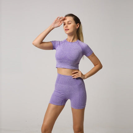 Seamless Women Yoga Set Crop Top Short Sleeve Shirt Fitness Shorts