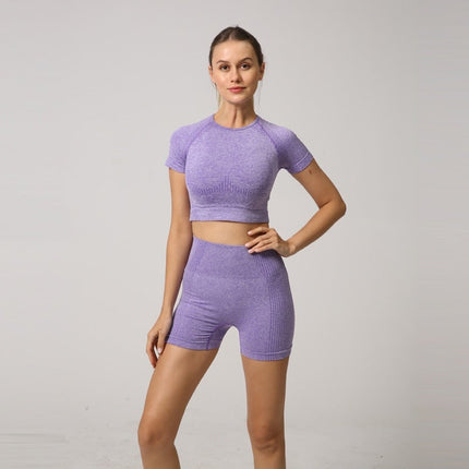 Seamless Women Yoga Set Crop Top Short Sleeve Shirt Fitness Shorts