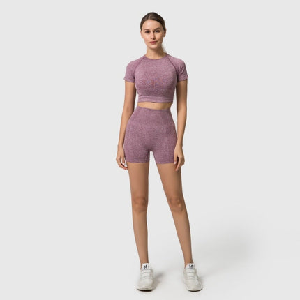 Seamless Women Yoga Set Crop Top Short Sleeve Shirt Fitness Shorts