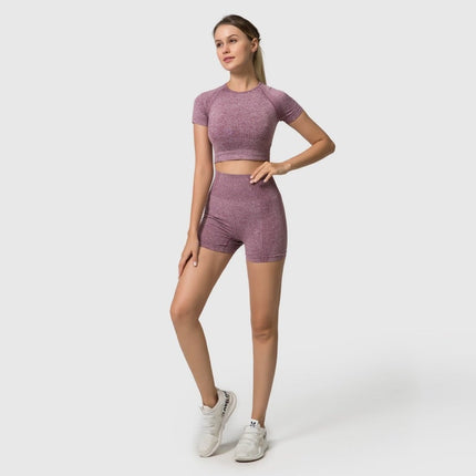 Seamless Women Yoga Set Crop Top Short Sleeve Shirt Fitness Shorts