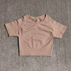 L(63-75KG) / Brown