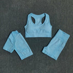 L(63-75KG) / BraShirtsShortsBlue