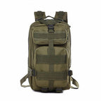 Army green / Other