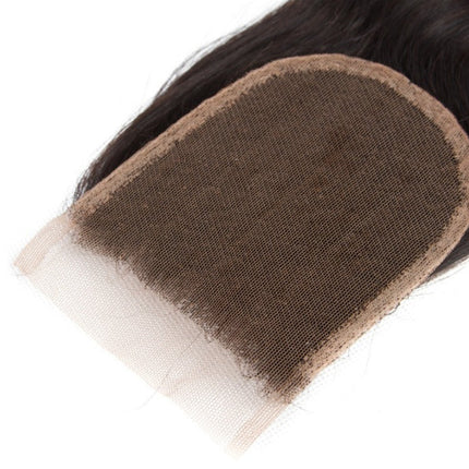 Purple 10A Grade Silver #1B/ purple  3/4 Straight BUNDLES with CLOSURE