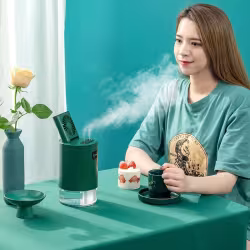 Lifting Fan Humidifier Office Bedroom Air Purifier USB Charging Kawaii Air Humidifier Dual Spray with Remote Control Lifting Fan Humidifier Office Bedroom Air Purifier USB Charging Kawaii Air Humidifier Dual Spray with Remote Control