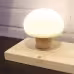 Silicone LED Night Lamp Brightness Adjustable Mushroom Pat Switch Wooden Base Timing LED Night Light For Children's Gift Silicone LED Night Lamp Brightness Adjustable Mushroom Pat Switch Wooden Base Timing LED Night Light For Children's Gift