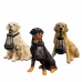 LED Solar Light Dog Lantern Sculpture Resin Craft Ornament Home Porch Decor Garden Solar Powered LED Light Dog Statues LED Solar Light Dog Lantern Sculpture Resin Craft Ornament Home Porch Decor Garden Solar Powered LED Light Dog Statues
