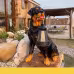 LED Solar Light Dog Lantern Sculpture Resin Craft Ornament Home Porch Decor Garden Solar Powered LED Light Dog Statues LED Solar Light Dog Lantern Sculpture Resin Craft Ornament Home Porch Decor Garden Solar Powered LED Light Dog Statues