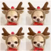 Cute Fruit Dog Clothes For Small Dogs Hoodies Winter Warm Fleece Pet Clothing Puppy Cat Costume Coat For French Chihuahua Outfit