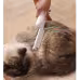 Pet Groomer Pet Hair Removal Brush Cat Grooming Brush Dog Cat Massage Epilator To Remove Floating Hair Cat Hair Dog Pet Supplies