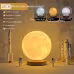 Creative 3D Magnetic Floating Levitating Moon Lamp Touch Control 3 Color Moon Light Lunar Night Light For Home Office Room Decor Creative 3D Magnetic Floating Levitating Moon Lamp Touch Control 3 Color Moon Light Lunar Night Light For Home Office Room Decor