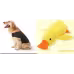 Toy Teeth-cleaning With Bite-resistant Molars Toy Teeth-cleaning With Bite-resistant Molars