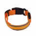Anti-lost Led Luminous Dog Collar Pet Supplies Anti-lost Led Luminous Dog Collar Pet Supplies