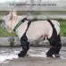 Waterproof Dog Shoes Adjustable Dog Boots Pet Breathbale Shoes For Outdoor Walking Soft French Dog Shoes Pets Paws Protector Pet Products Waterproof Dog Shoes Adjustable Dog Boots Pet Breathbale Shoes For Outdoor Walking Soft French Dog Shoes Pets Paws Protector Pet Products