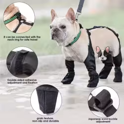 Waterproof Dog Shoes Adjustable Dog Boots Pet Breathbale Shoes For Outdoor Walking Soft French Dog Shoes Pets Paws Protector Pet Products Waterproof Dog Shoes Adjustable Dog Boots Pet Breathbale Shoes For Outdoor Walking Soft French Dog Shoes Pets Paws Protector Pet Products