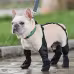 Waterproof Dog Shoes Adjustable Dog Boots Pet Breathbale Shoes For Outdoor Walking Soft French Dog Shoes Pets Paws Protector Pet Products Waterproof Dog Shoes Adjustable Dog Boots Pet Breathbale Shoes For Outdoor Walking Soft French Dog Shoes Pets Paws Protector Pet Products