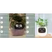 Smart Planter Endless Fun Over 49 Rich Expressions 7 Smart Sensors And AI Chips Make Raising Plants Easy And Fun Smart Planter Endless Fun Over 49 Rich Expressions 7 Smart Sensors And AI Chips Make Raising Plants Easy And Fun