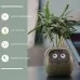 Smart Planter Endless Fun Over 49 Rich Expressions 7 Smart Sensors And AI Chips Make Raising Plants Easy And Fun Smart Planter Endless Fun Over 49 Rich Expressions 7 Smart Sensors And AI Chips Make Raising Plants Easy And Fun