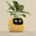Smart Planter Endless Fun Over 49 Rich Expressions 7 Smart Sensors And AI Chips Make Raising Plants Easy And Fun Smart Planter Endless Fun Over 49 Rich Expressions 7 Smart Sensors And AI Chips Make Raising Plants Easy And Fun